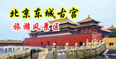 欧美大黑吊性爱视频中国北京-东城古宫旅游风景区